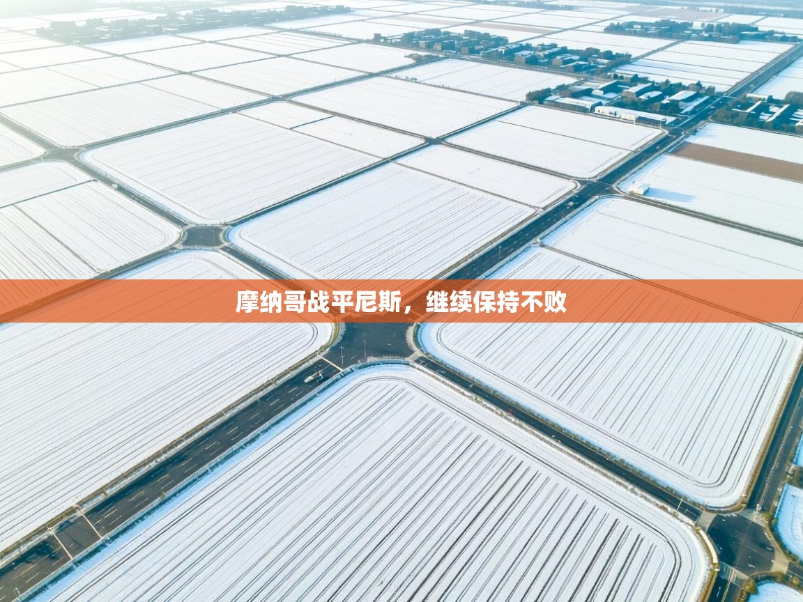 摩纳哥战平尼斯,继续保持不败 第1张