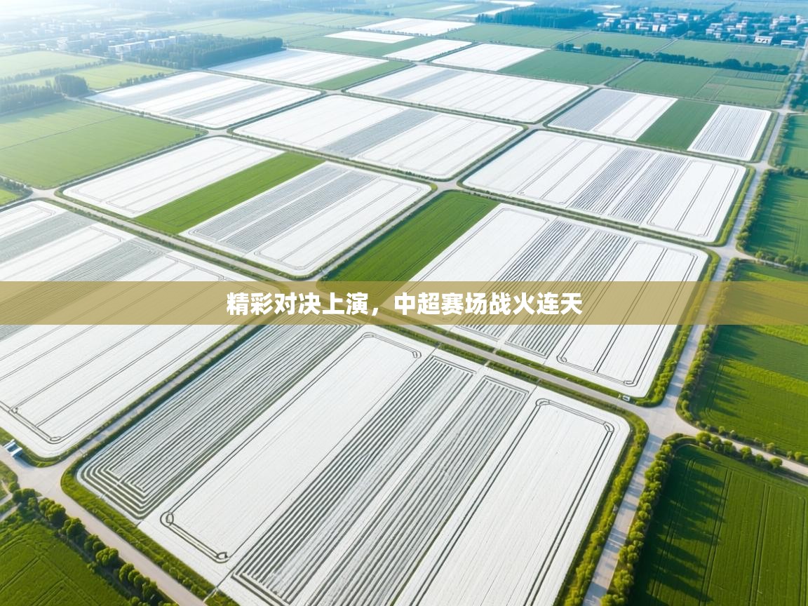 精彩对决上演,中超赛场战火连天 第2张