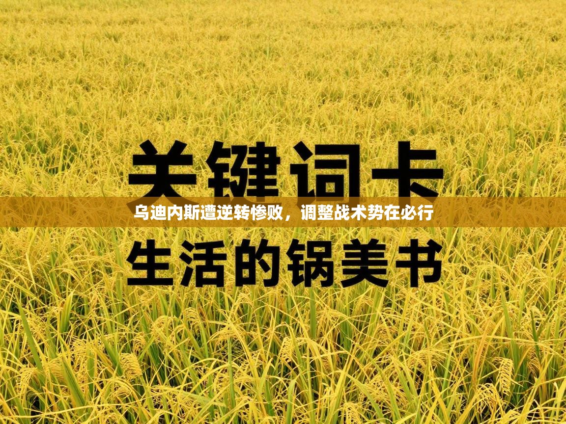 乌迪内斯遭逆转惨败，调整战术势在必行  第2张